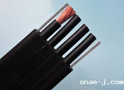 YFFBG行车扁电缆