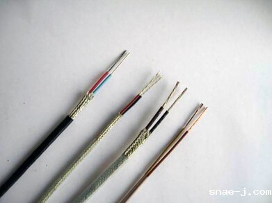 本质放心防爆测温系统热电偶用补偿电