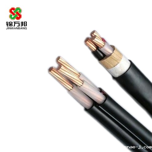 FFP-1KV 10*6 高温电力电缆