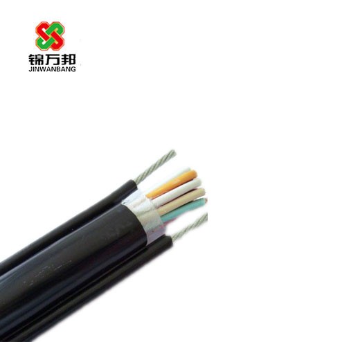 计算机控制电缆