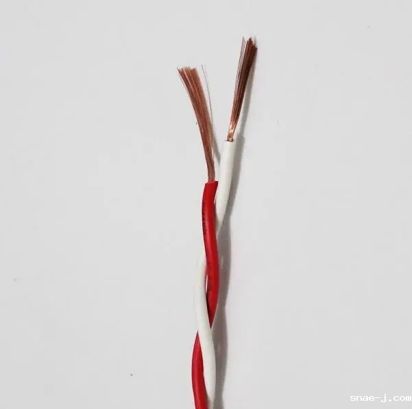 RVSPVP 双屏蔽双绞线电缆.webp.jpg