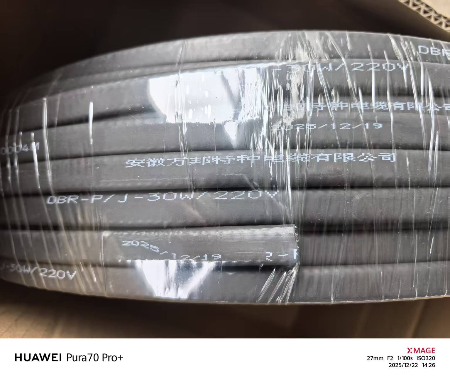 DBR-P/J-30W-220V低温阻燃防爆加强电伴热带